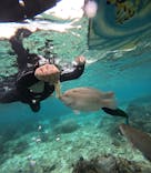 沖縄マリンサービス碧に投稿された画像（2025/5/12）