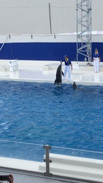 鴨川シーワールドに投稿された画像（2025/5/12）