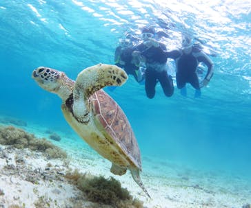 アマミエンシスに投稿された画像（2025/5/12）