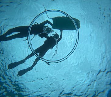 青の洞窟専門店　沖縄ダイビングショップ和に投稿された画像（2025/5/12）