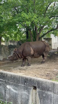 名古屋市東山動植物園に投稿された画像（2025/5/12）