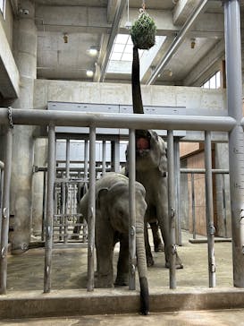 名古屋市東山動植物園に投稿された画像（2025/5/12）