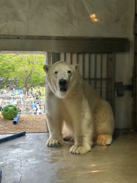 名古屋市東山動植物園に投稿された画像（2025/5/12）