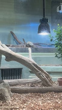 名古屋市東山動植物園に投稿された画像（2025/5/12）