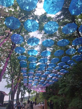 ムーミンバレーパークに投稿された画像（2025/5/12）