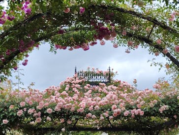 横浜イングリッシュガーデンに投稿された画像（2025/5/12）