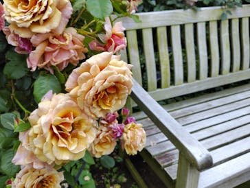 横浜イングリッシュガーデンに投稿された画像（2025/5/12）