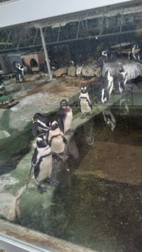 伊豆・三津シーパラダイスに投稿された画像（2025/5/12）