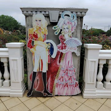 京成バラ園に投稿された画像（2025/5/12）