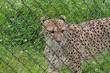 千葉市動物公園に投稿された画像（2025/5/12）