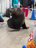 仙台うみの杜水族館に投稿された画像（2025/5/12）
