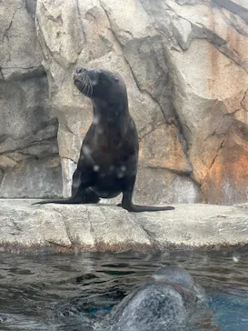 仙台うみの杜水族館に投稿された画像（2025/5/12）