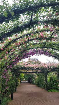 横浜イングリッシュガーデンに投稿された画像（2025/5/12）