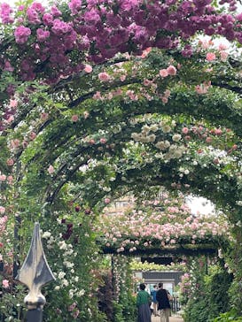 横浜イングリッシュガーデンに投稿された画像（2025/5/12）