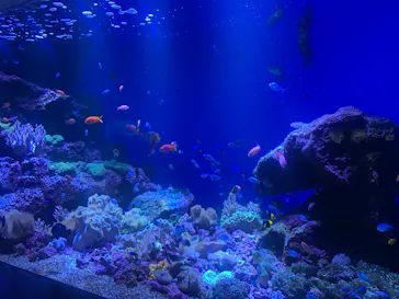 仙台うみの杜水族館に投稿された画像（2025/5/12）