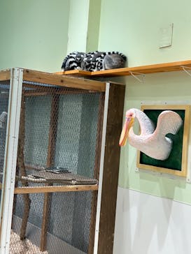 アニタッチPARKイオンモール太田に投稿された画像（2025/5/12）