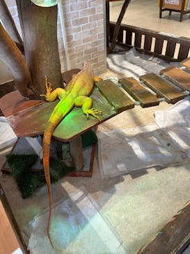 アニタッチPARKイオンモール太田に投稿された画像（2025/5/12）