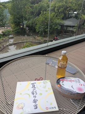 京都水族館に投稿された画像（2025/5/12）