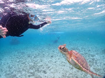 宮古島マリンショップSmileyに投稿された画像（2025/5/12）