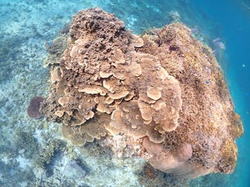 宮古島マリンショップSmileyに投稿された画像（2025/5/12）