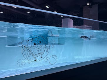 AOAO SAPPOROに投稿された画像（2025/5/12）