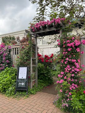 横浜イングリッシュガーデンに投稿された画像（2025/5/12）