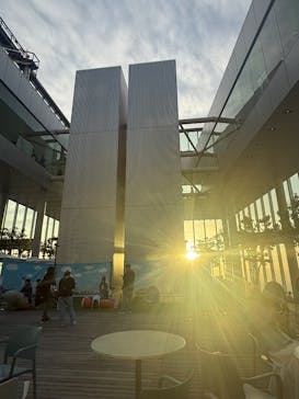 ハルカス300(展望台)に投稿された画像（2025/5/12）