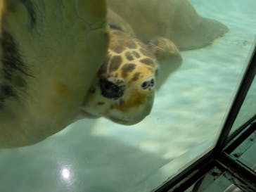 マリンワールド海の中道に投稿された画像（2025/5/12）