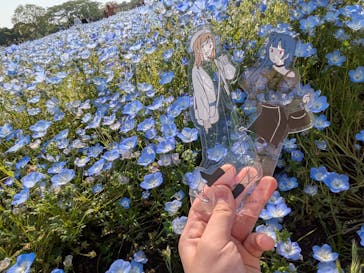 マリンワールド海の中道に投稿された画像（2025/5/12）