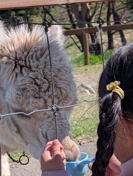 那須どうぶつ王国に投稿された画像（2025/5/12）