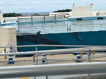沖縄美ら海水族館に投稿された画像（2025/5/12）