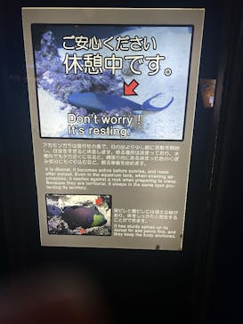 沖縄美ら海水族館に投稿された画像（2025/5/12）
