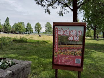 滋賀農業公園ブルーメの丘に投稿された画像（2025/5/12）