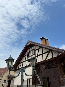 滋賀農業公園ブルーメの丘に投稿された画像（2025/5/12）