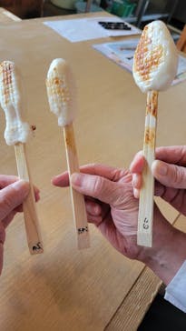 若松屋河崎本店に投稿された画像（2025/5/12）