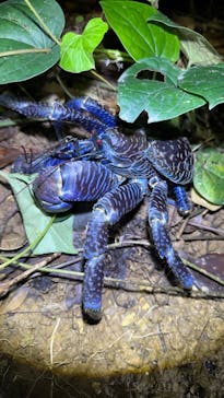 宮古島マリンショップSmileyに投稿された画像（2025/5/12）