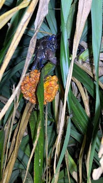 宮古島マリンショップSmileyに投稿された画像（2025/5/12）