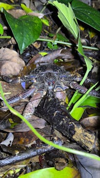 宮古島マリンショップSmileyに投稿された画像（2025/5/12）