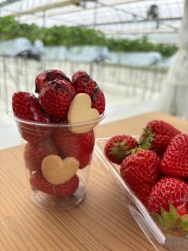 石川農園に投稿された画像（2025/5/12）