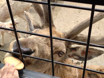 那須サファリパークに投稿された画像（2025/5/12）