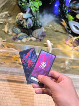 UWS AQUARIUM GA☆KYOに投稿された画像（2025/5/12）