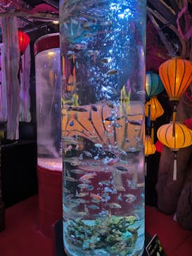 UWS AQUARIUM GA☆KYOに投稿された画像（2025/5/12）