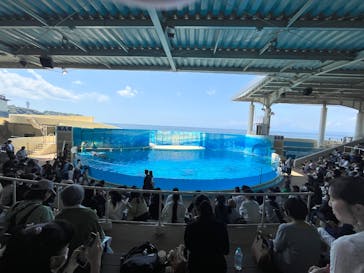 江の島シーキャンドル×新江ノ島水族館に投稿された画像（2025/5/12）