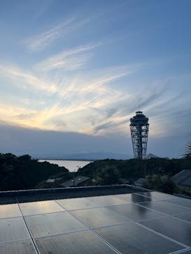 江の島シーキャンドル×新江ノ島水族館に投稿された画像（2025/5/12）