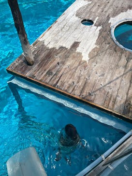 マリンワールド海の中道に投稿された画像（2025/5/12）