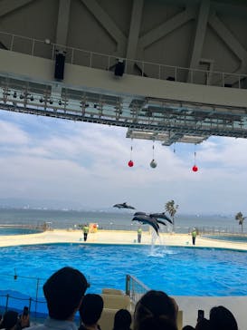 マリンワールド海の中道に投稿された画像（2025/5/12）