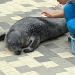 マリンワールド海の中道に投稿された画像（2025/5/13）