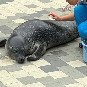 マリンワールド海の中道に投稿された画像（2025/5/12）