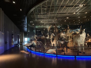 国立科学博物館に投稿された画像（2025/5/12）