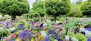 ぎふワールド・ローズガーデンに投稿された画像（2025/5/13）